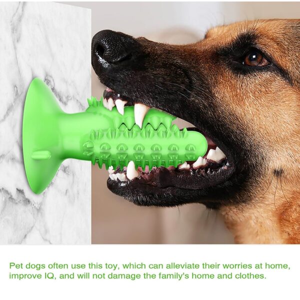 NEW Dog Toothbrush Toy - Image 6