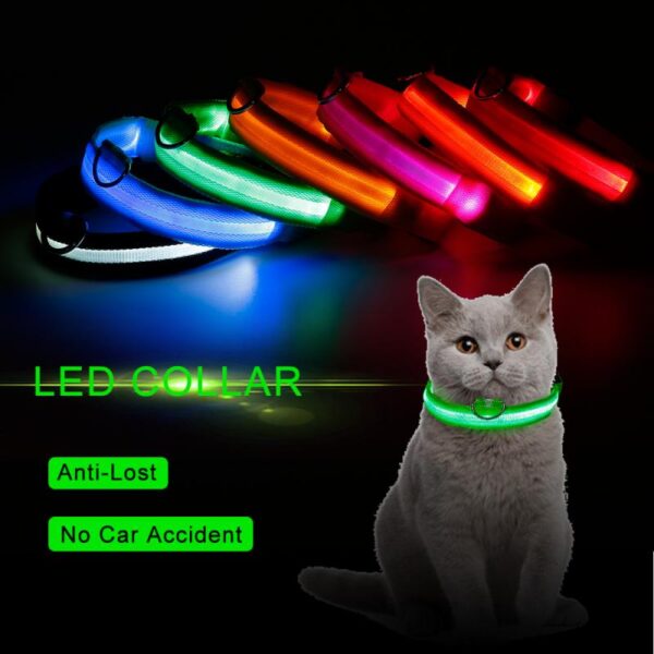 LED Dog Collar - Image 13