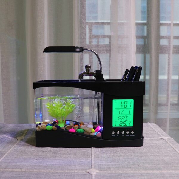 Mini Aquarium