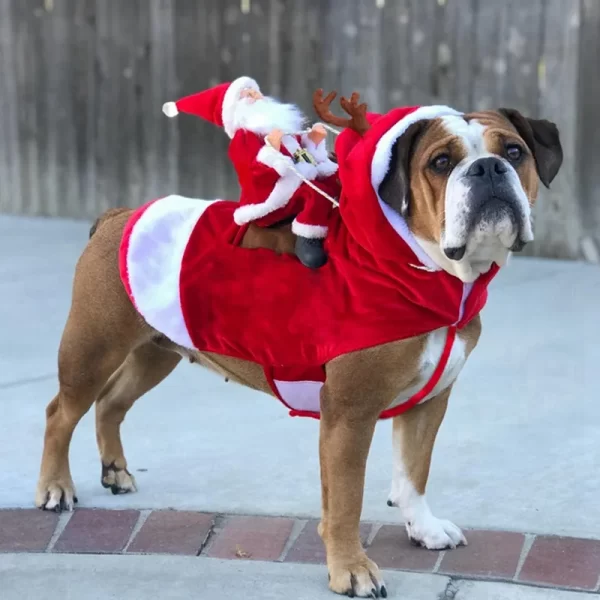 Santa Claus Riding a Dog Jacket - Image 2