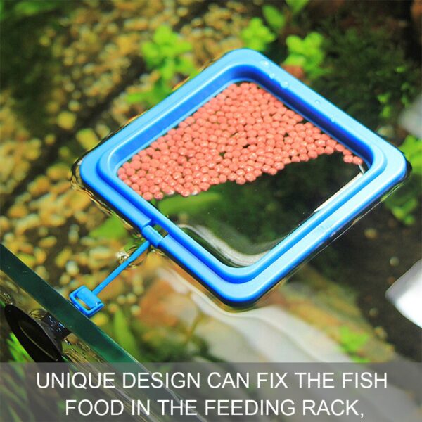 Aquarium Fish Feeding Ring - Image 3