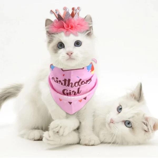 Dress UP Dog and Cat Bandanas