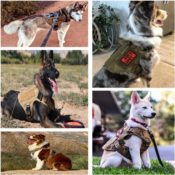 Large Dog Harness - Image 16