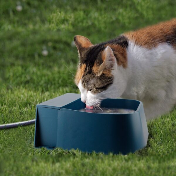 Water Storage Bowl with Floating Ball Automatic Dispenser - Image 2