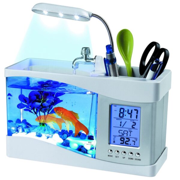 Mini Aquarium - Image 4