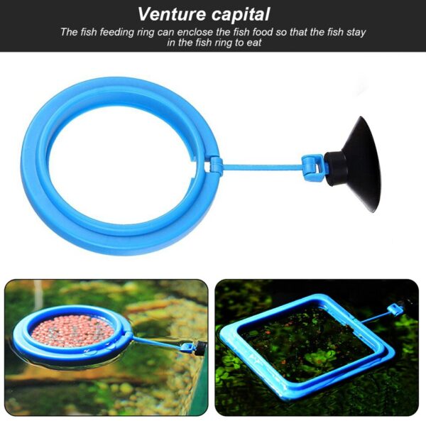 Aquarium Fish Feeding Ring - Image 8