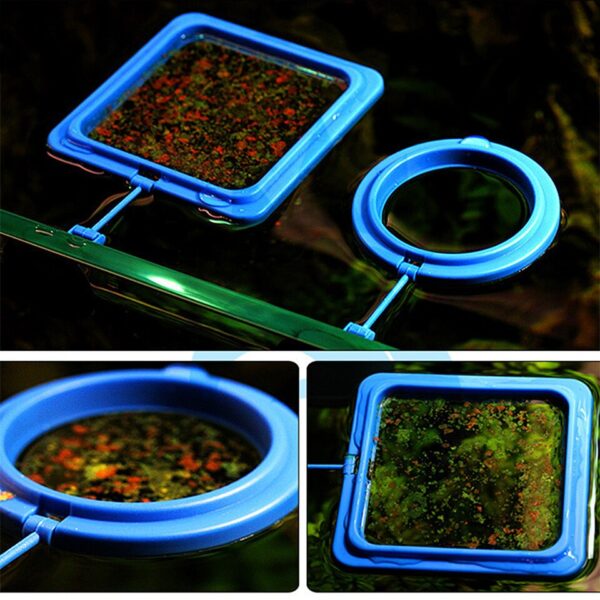 Aquarium Fish Feeding Ring - Image 7