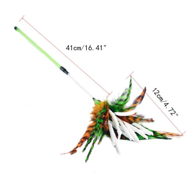 Simulation Feather Bird with Bell - Image 25