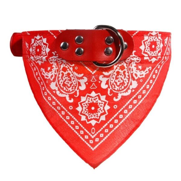 Micatale Collar Bandana - Image 5