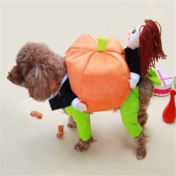 Pumpkin Dog Cosplay - Image 5