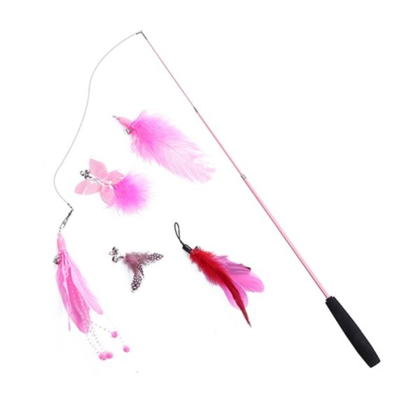 Simulation Feather Bird with Bell - Image 17