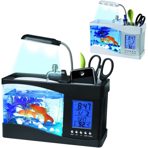 Mini Aquarium - Image 6