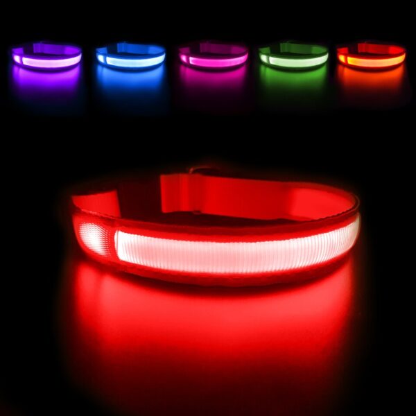 Luminous Dog Collar - Image 4