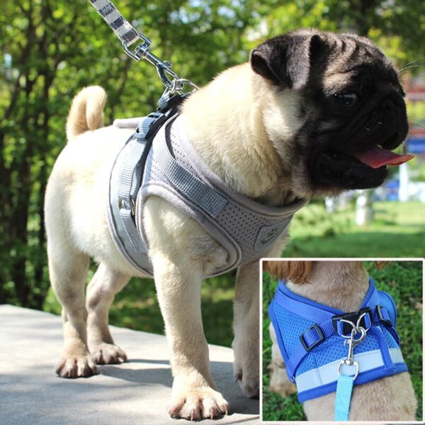 Reflective Puppy Harness