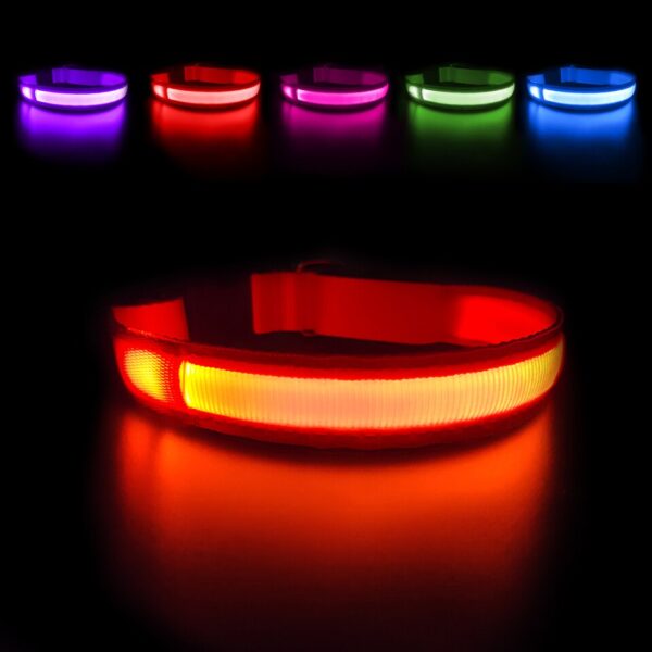 Luminous Dog Collar - Image 8