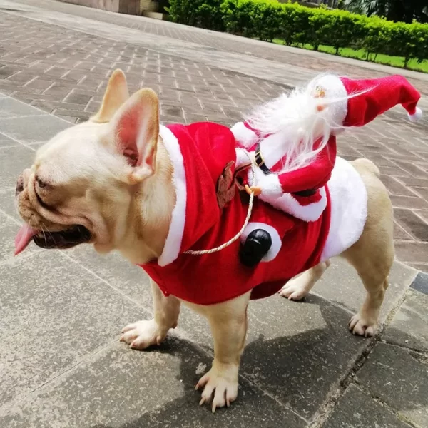 Santa Claus Riding a Dog Jacket - Image 3