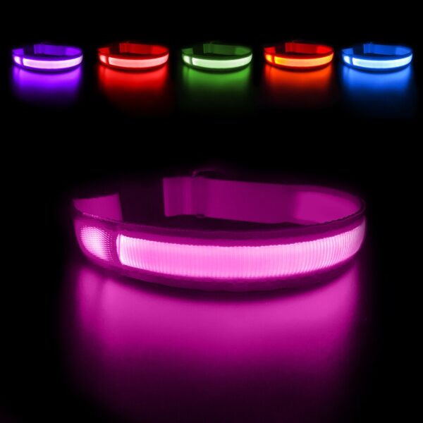 Luminous Dog Collar - Image 11