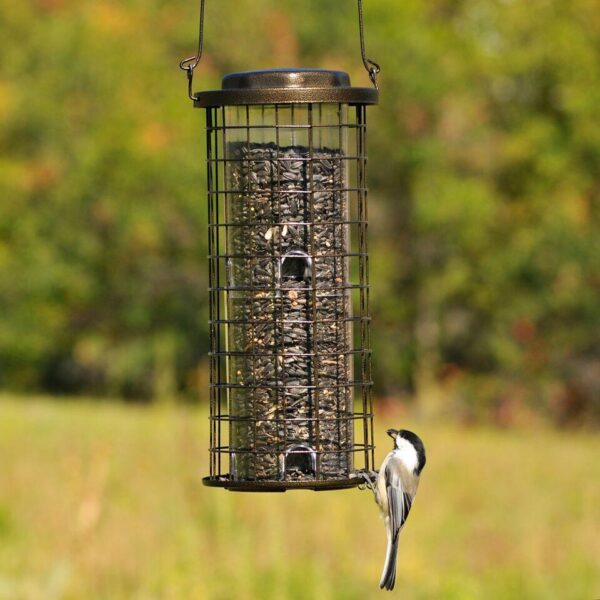 Bird Feeder Squirrel Stumper - Image 2