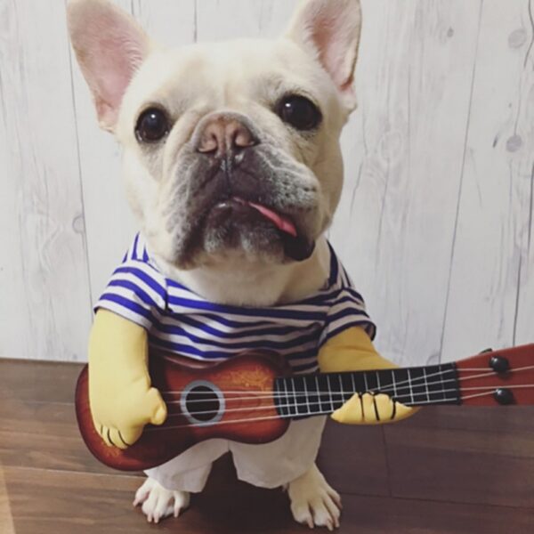 Funny Guitar Costume For Dog