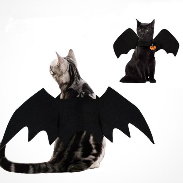 Bat Wings Cosplay - Image 9