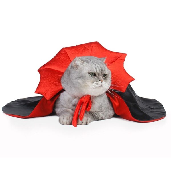 Halloween Vampire Costume - Image 7