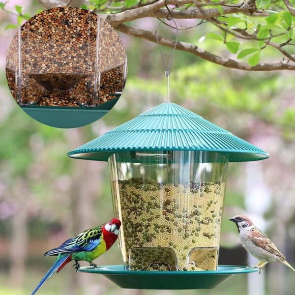 Automatic Bird Feeder - Image 2