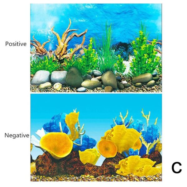 3D Aquarium Landscape - Image 9