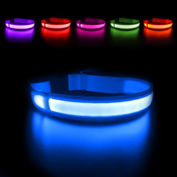 Luminous Dog Collar - Image 2