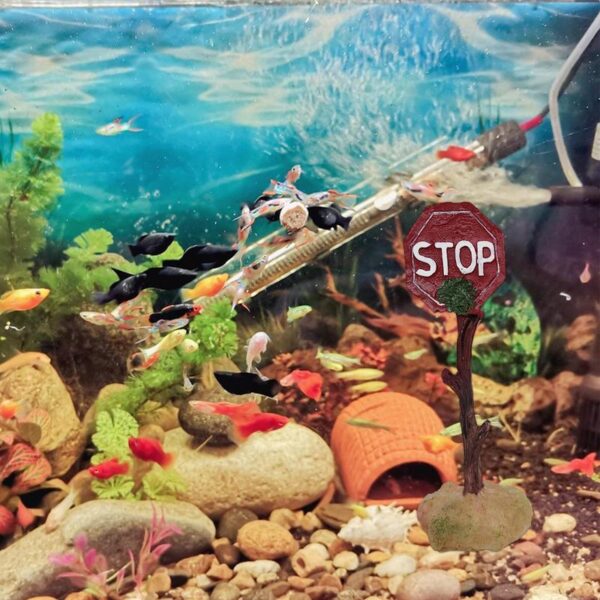 Fish Tank Warning Signs - Image 8