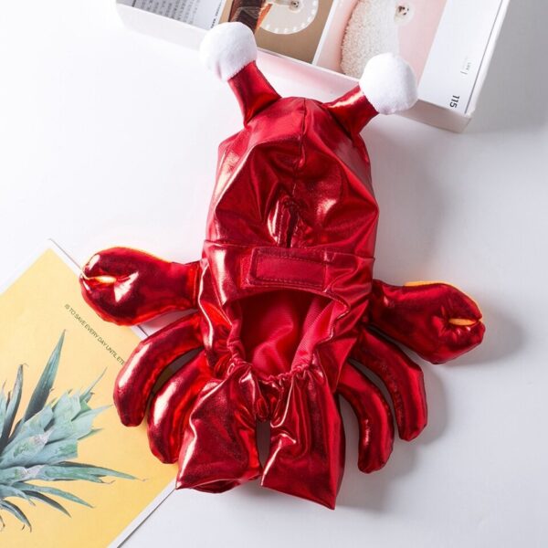 Red Crab Costume - Image 6