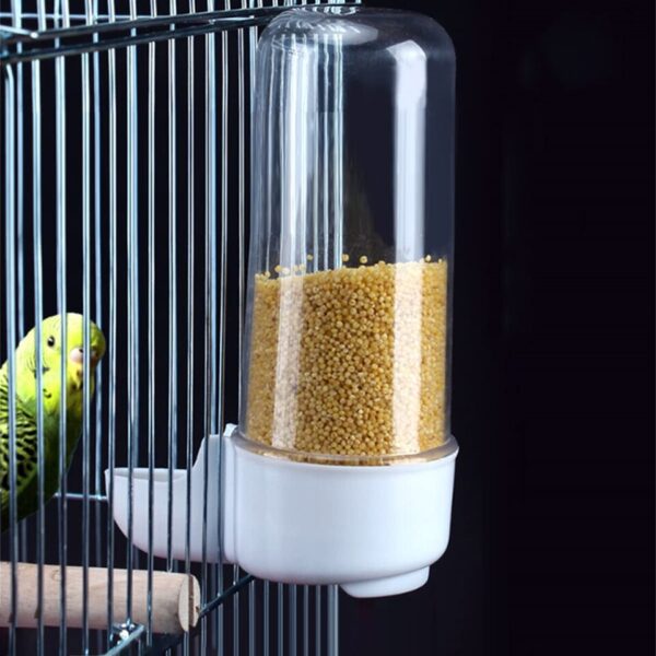 Automatic Bird Feeder