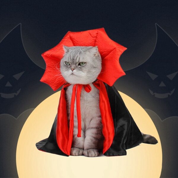 Halloween Vampire Costume - Image 5