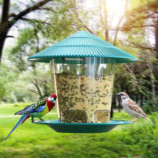 Automatic Bird Feeder