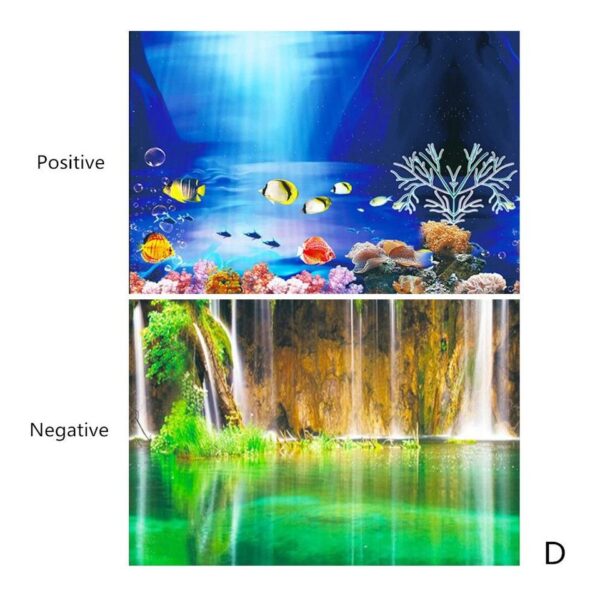 3D Aquarium Landscape - Image 2