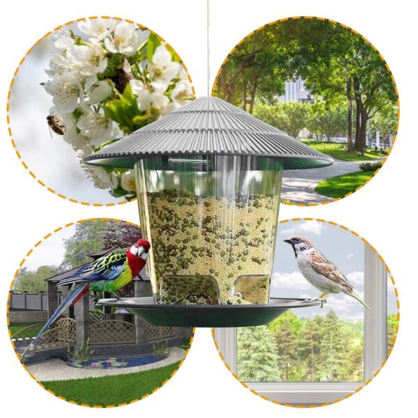 Automatic Bird Feeder - Image 5