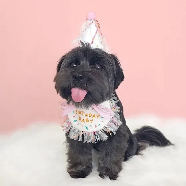 Pet Birthday Bandana and Hats Set Dog  or Cat Birthday - Image 6