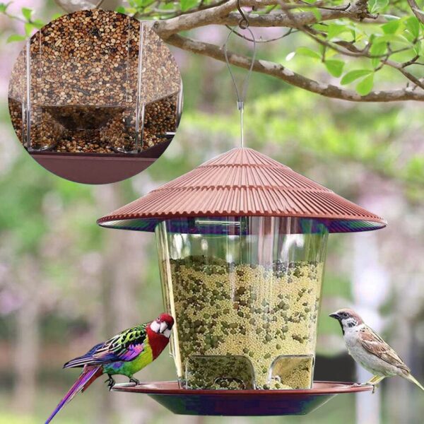 Automatic Bird Feeder - Image 9