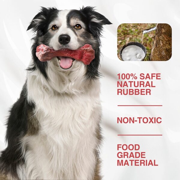 Bone-Shaped Indestructible Chew Toy - Image 5