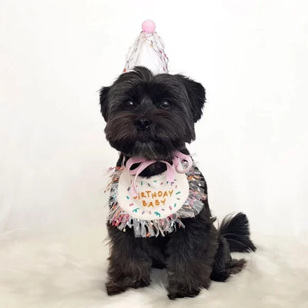 Pet Birthday Bandana and Hats Set Dog  or Cat Birthday - Image 5