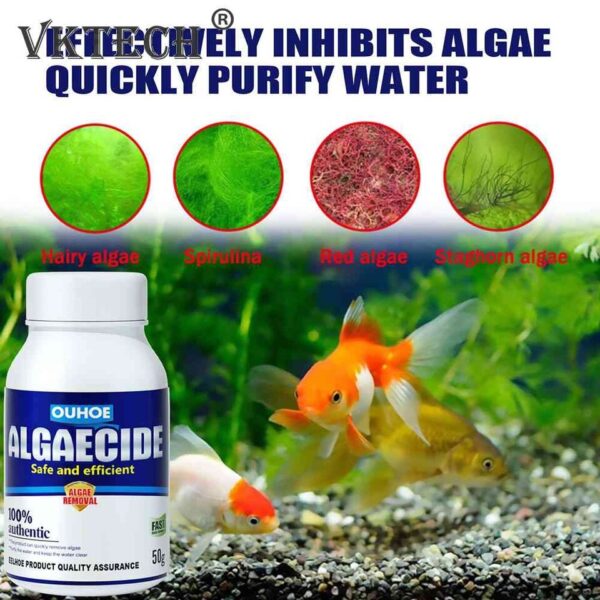 Aquarium Algaecide - 50g Water Algae Control and Moss Remover for Fish Tanks - Image 4