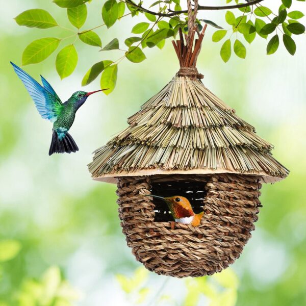 Charming Decorative Hummingbird House - Image 11