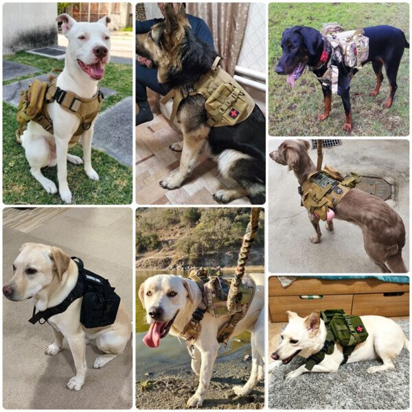 Tactical Dog Harness - Image 12