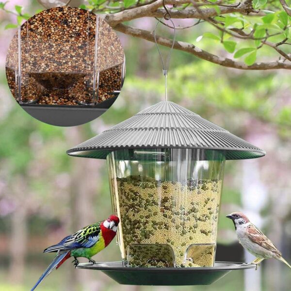 Automatic Bird Feeder - Image 4