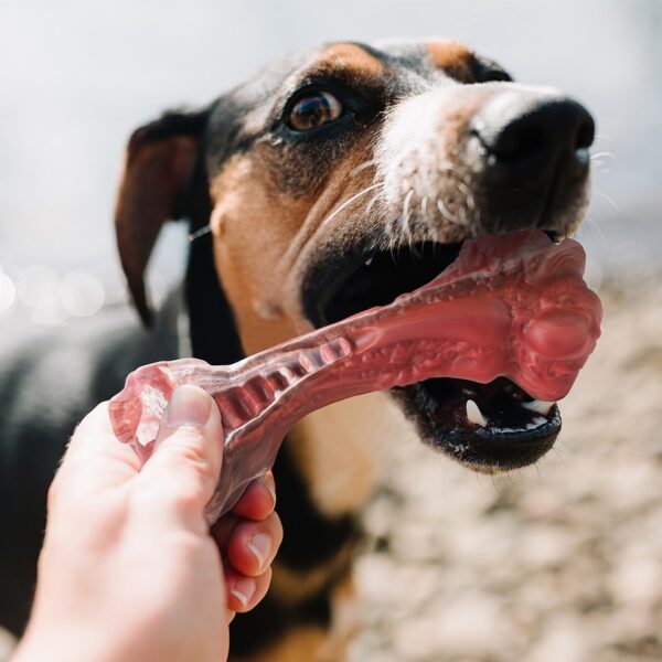 Bone-Shaped Indestructible Chew Toy - Image 4