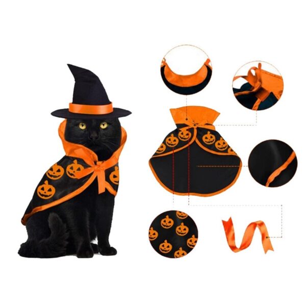 Halloween Cloak and Hat Set