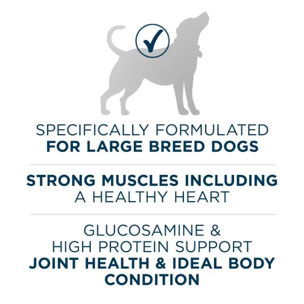 Plus Large Breed Adult Dog Food Dry Formula dog supplies - Image 4