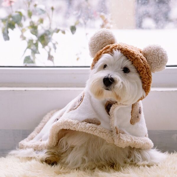 Teddy Bear Pet Pajamas - Image 5