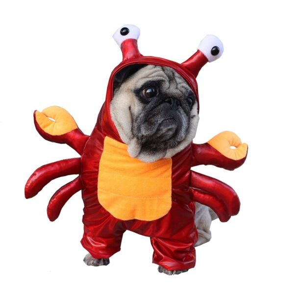 Red Crab Costume