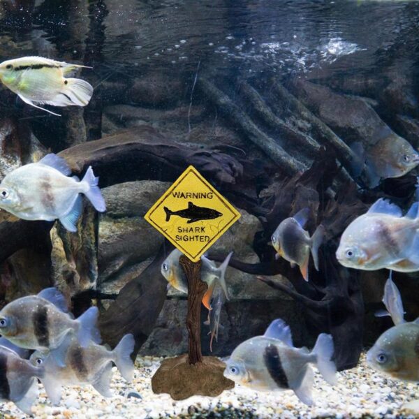 Fish Tank Warning Signs - Image 10