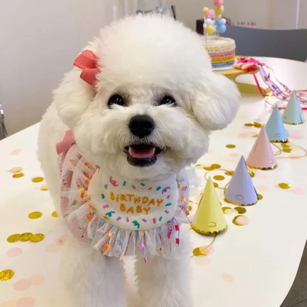 Pet Birthday Bandana and Hats Set Dog  or Cat Birthday - Image 2